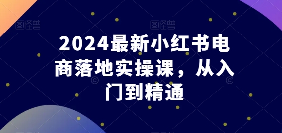 2024最新小红书电商落地实操课，从入门到精通-源码交易网