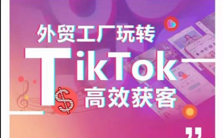 外贸工厂玩转TikTok高效获客，多种引流方式与账号定位技巧，拆解爆款短视频打造成功案例-源码交易网