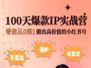 小红书100天爆款IP实战营，带你从0到1做出高价值的小红书号-源码交易网