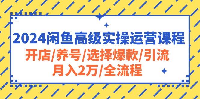 2024闲鱼高级实操运营课程：开店/养号/选择爆款/引流/月入2万/全流程-源码交易网