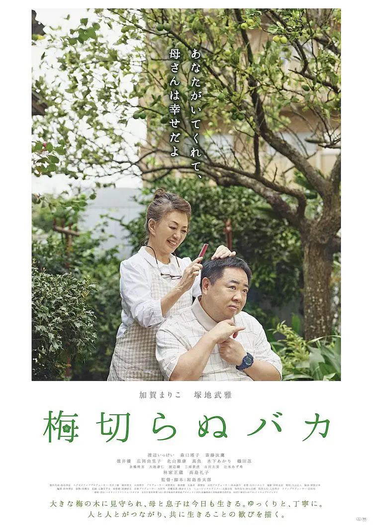 【电影】不砍梅树的傻瓜 2021 走进自闭症患者 感人暖心 高清 日语中字-源码交易网