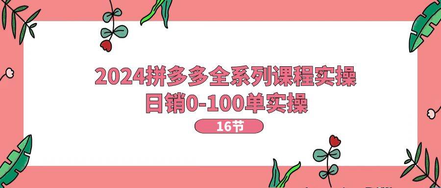 2024拼多多全系列课程实操，日销0-100单实操【16节课】-源码交易网