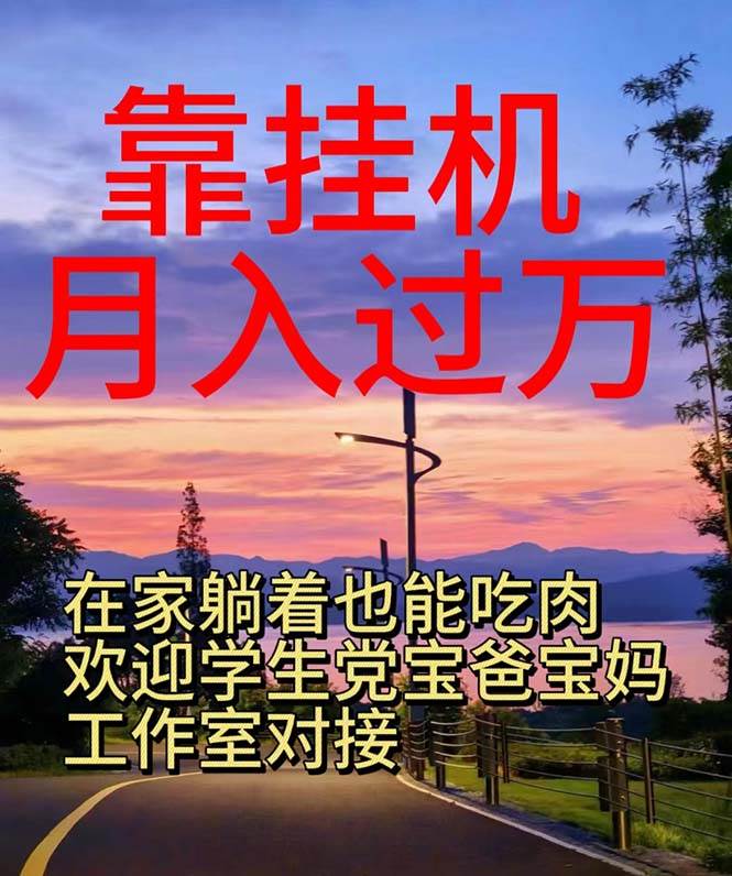 靠挂机，日入1000+，躺着也能吃肉，电脑手机都可挂-源码交易网