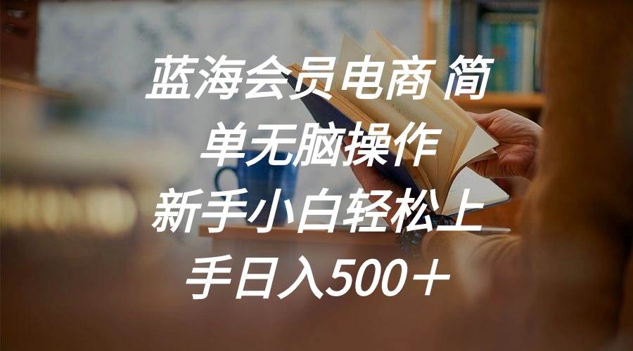 蓝海会员电商 简单无脑操作 新手小白轻松上手日入500＋-源码交易网