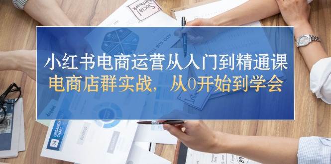 小红书电商运营从入门到精通课，电商店群实战，从0开始到学会-源码交易网