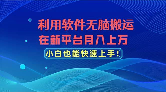 利用软件无脑搬运，在新平台月入上万，小白也能快速上手-源码交易网