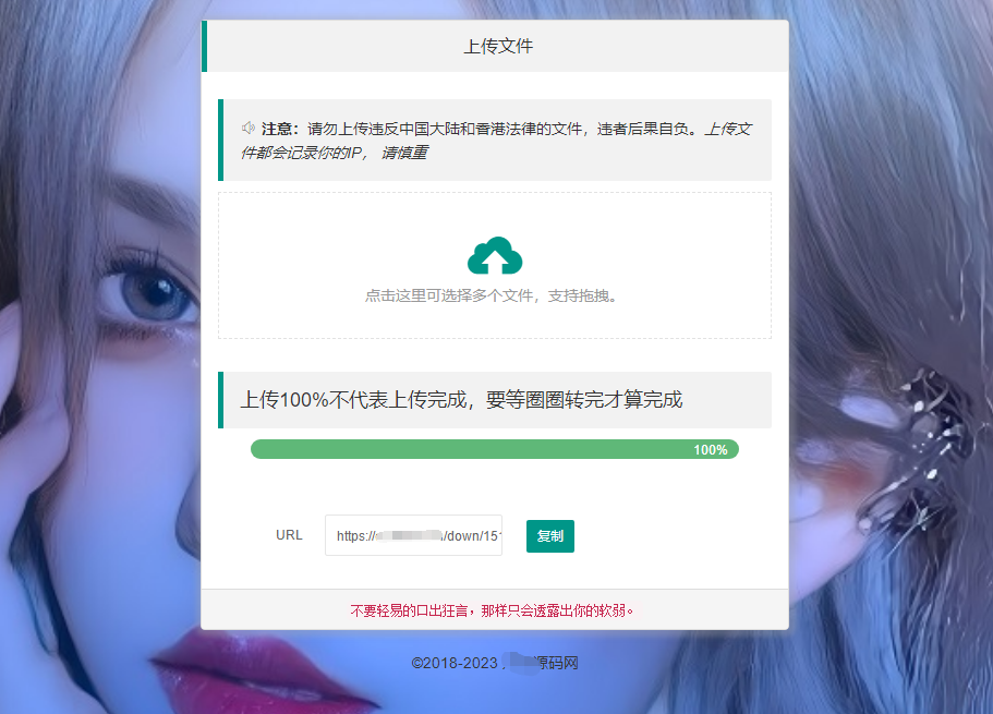 最新临时文件上传存储分享系统 临时文件网盘系统源码-源码交易网