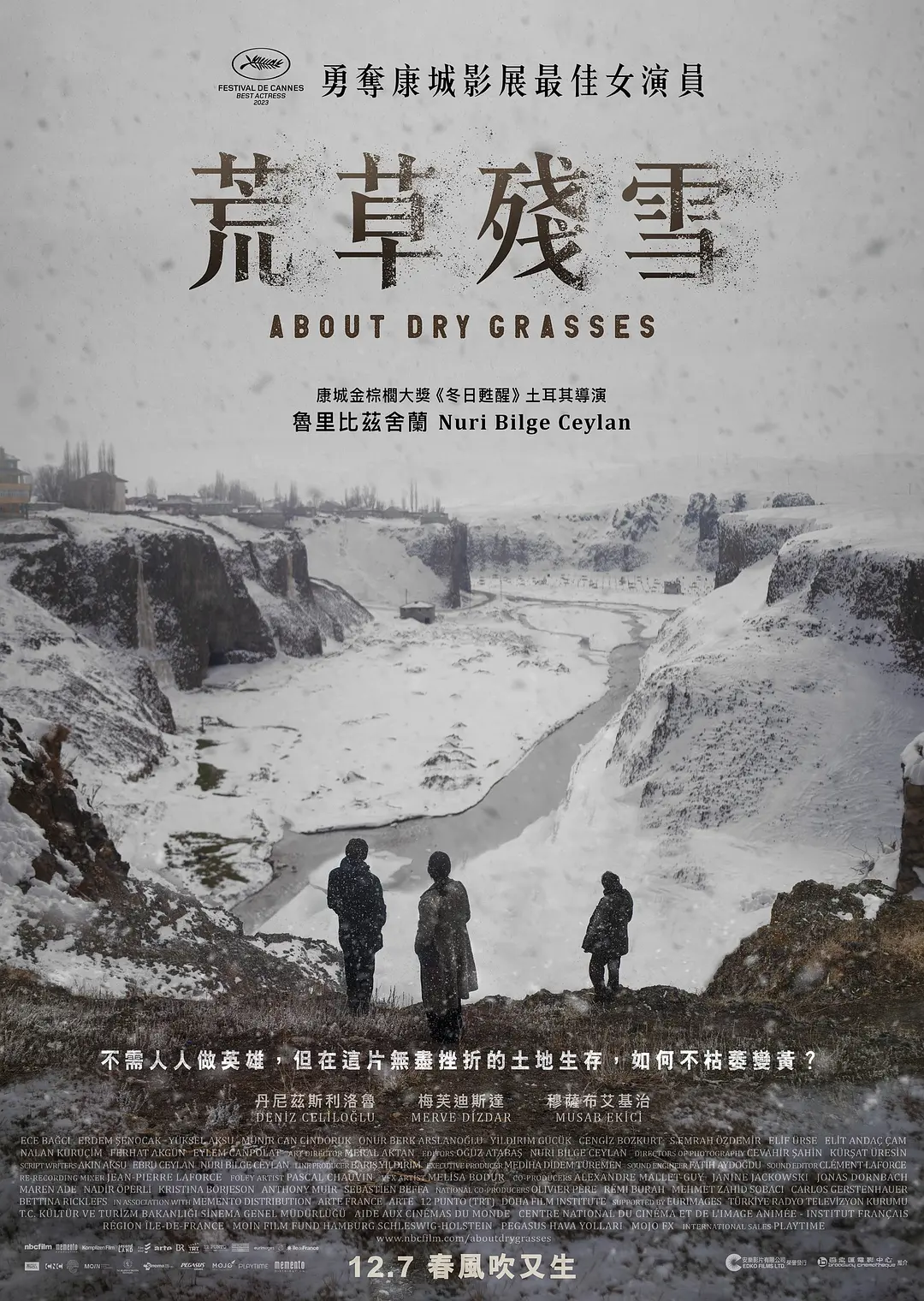 枯草 Kuru Otlar Üstüne [2023] 第76届戛纳电影节 最佳女演员-源码交易网