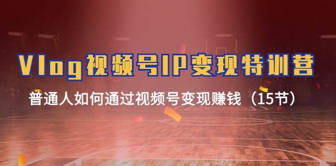 Vlog 视频号IP变现特训营,普通人如何通过视频号变现赚钱(15节)-源码交易网